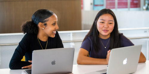 Two students working at laptops